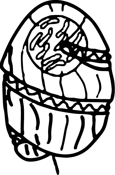 Margalefidinium illustration