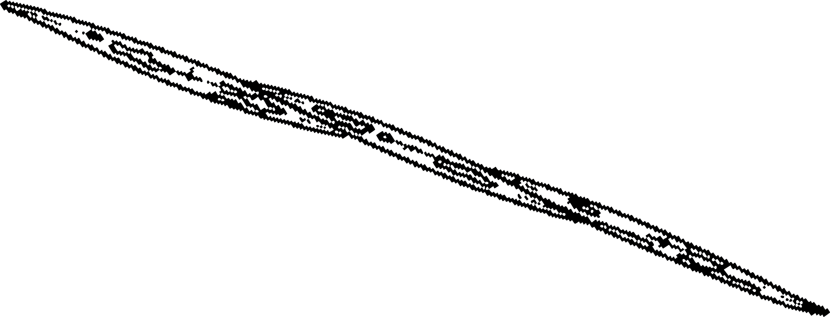 Pseudo-nitzschia illustration